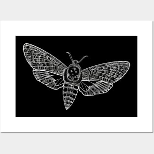 Death head moth sketch Posters and Art